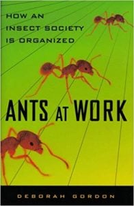 Books about Ants